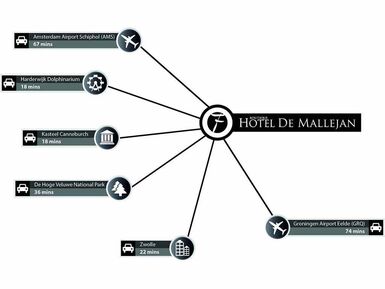 infographic-Mallejan