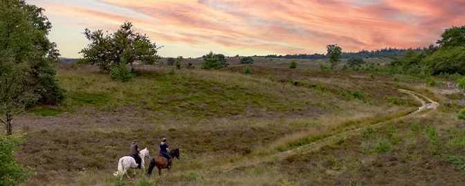 Twee mensen op het ruiterpad op de Veluwe