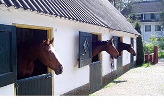 Hotel op de Veluwe met eigen paardenstallen