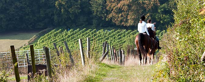 Twee mensen op het ruiterpad op de Veluwe